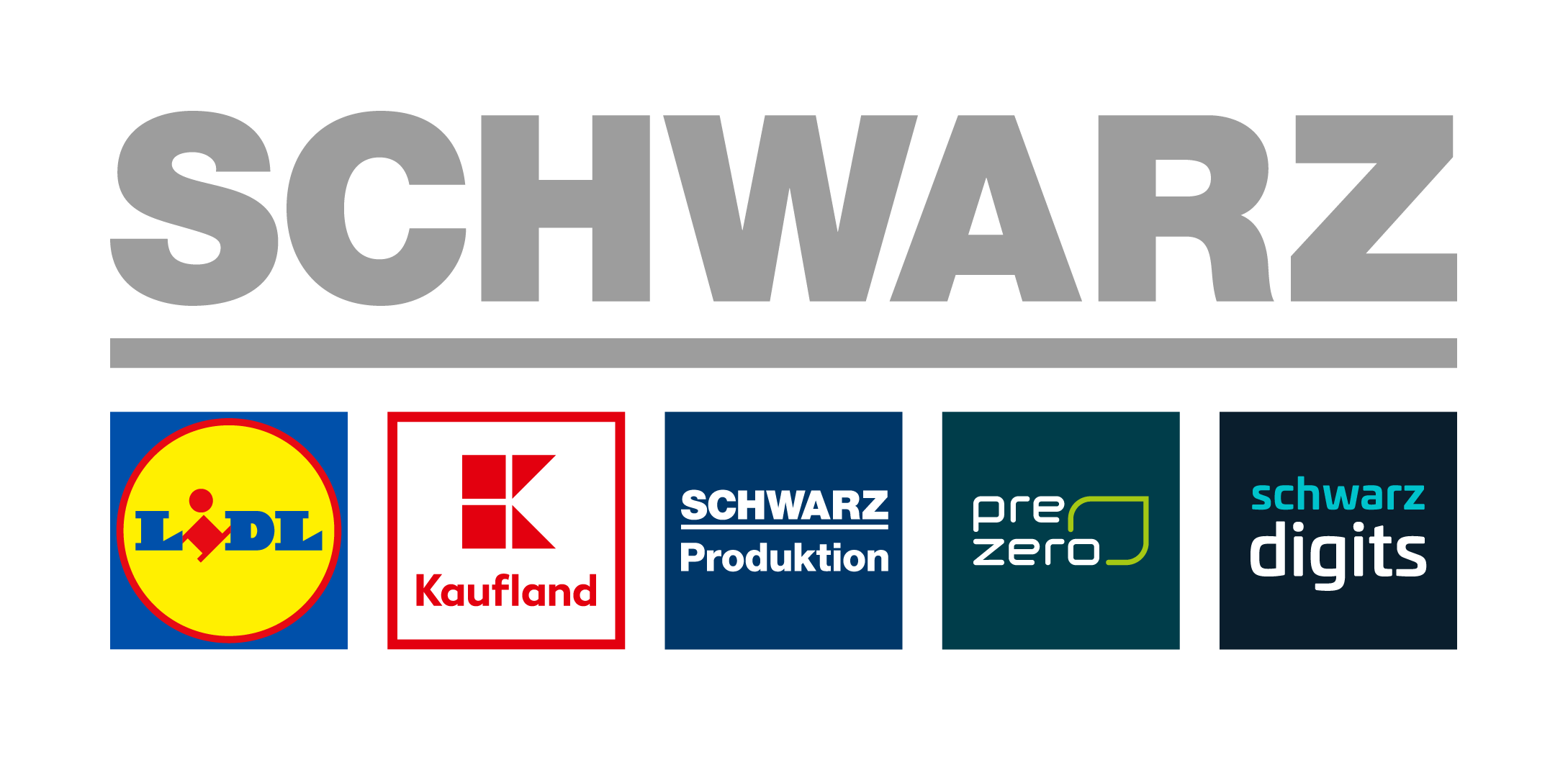 Schwarz Mobility Solutions GmbH